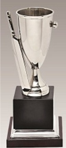 Cricket Silver Color Sports Trophy