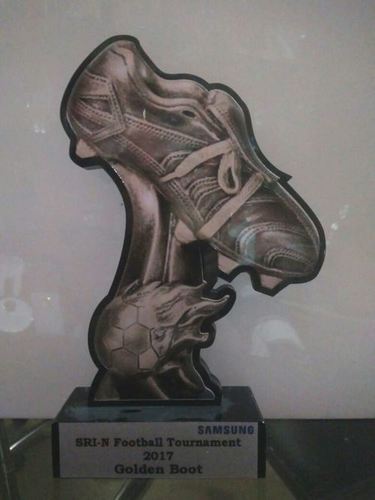 Corporate Sports Trophy