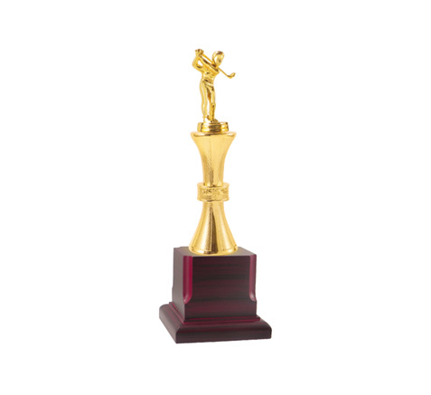 Finely Crafted Attractive Look Golfer Taking Shot Golf Trophies