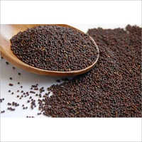 White Natural Mustard Seeds