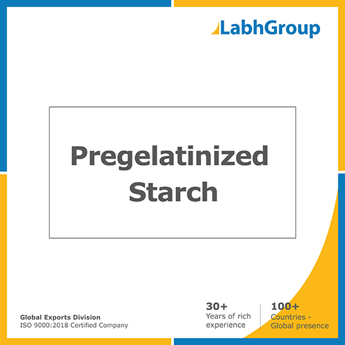 Pregelatinized starch By LABH PROJECTS PVT. LTD.