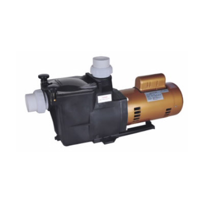 SP Pump with Single-Phase Motors