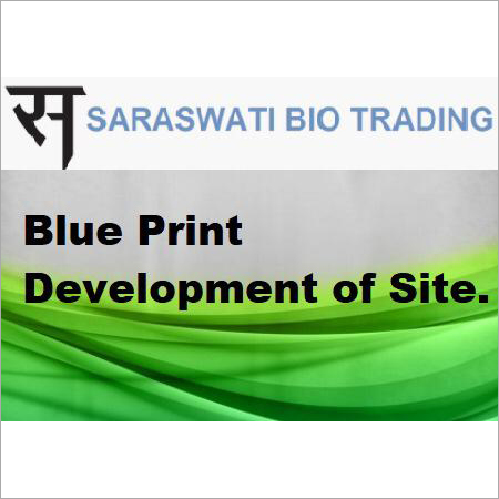 Blue Print