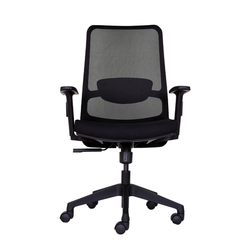 Revolving Chair - Nylon Backrest Frame with Mesh Upholstery, 12mm Plywood Seat with 40 Density PU Foam, Adjustable Lumbar Support & 3D Armrests