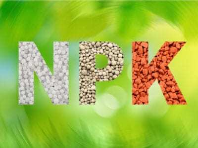 Npk Fertilizers