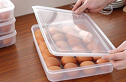 Egg Storage Container