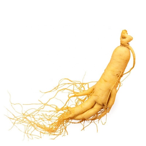 Natural Medicinal and Edible Dry Panax Ginseng Root