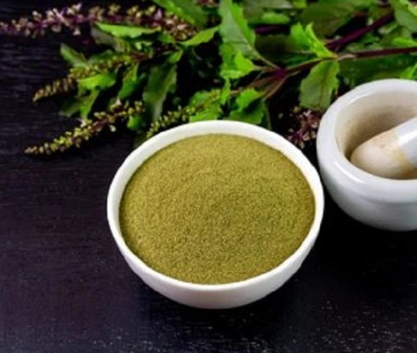 Tulsi Powder