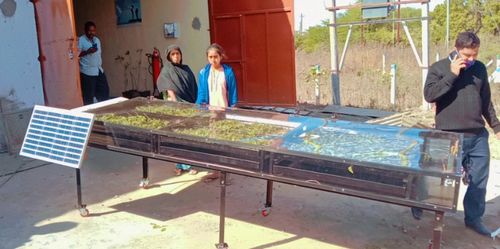 Solar Dryer For Grapes