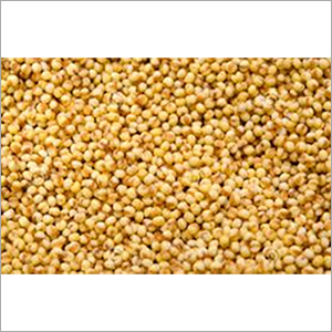Millets Varieties