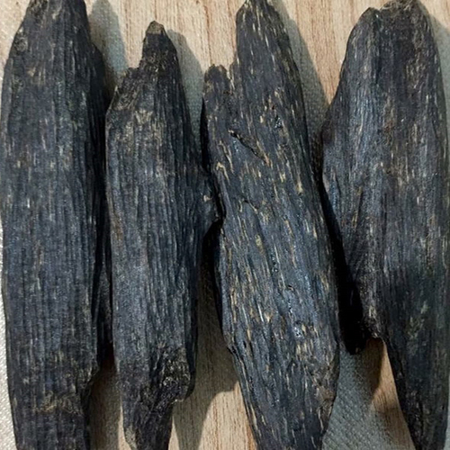 Agarwood Nagaland