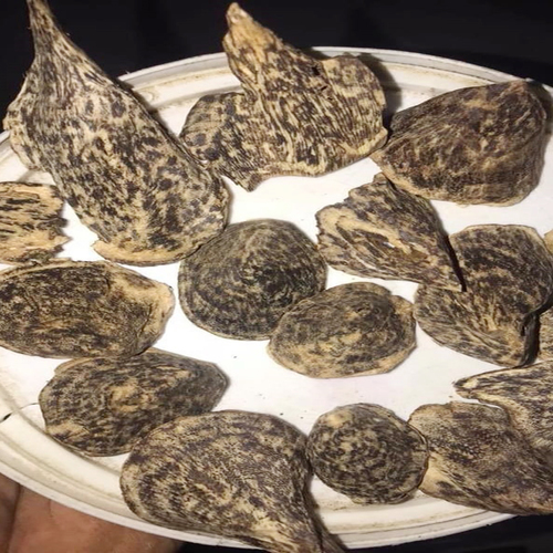 Agarwood Burmi