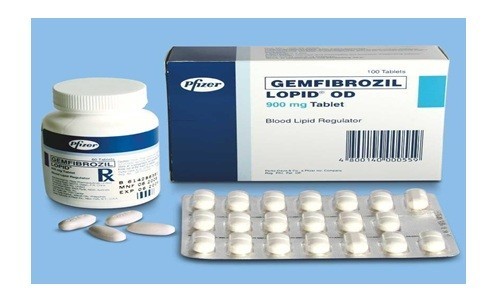 Gemfibrozil Capsule