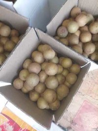 Naseberry (sapodilla)
