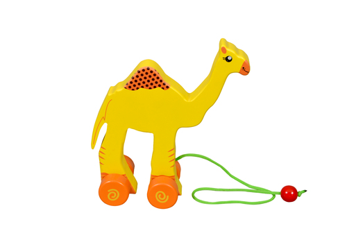 Kidken Pull Along Camel