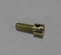 SEALING SCREW