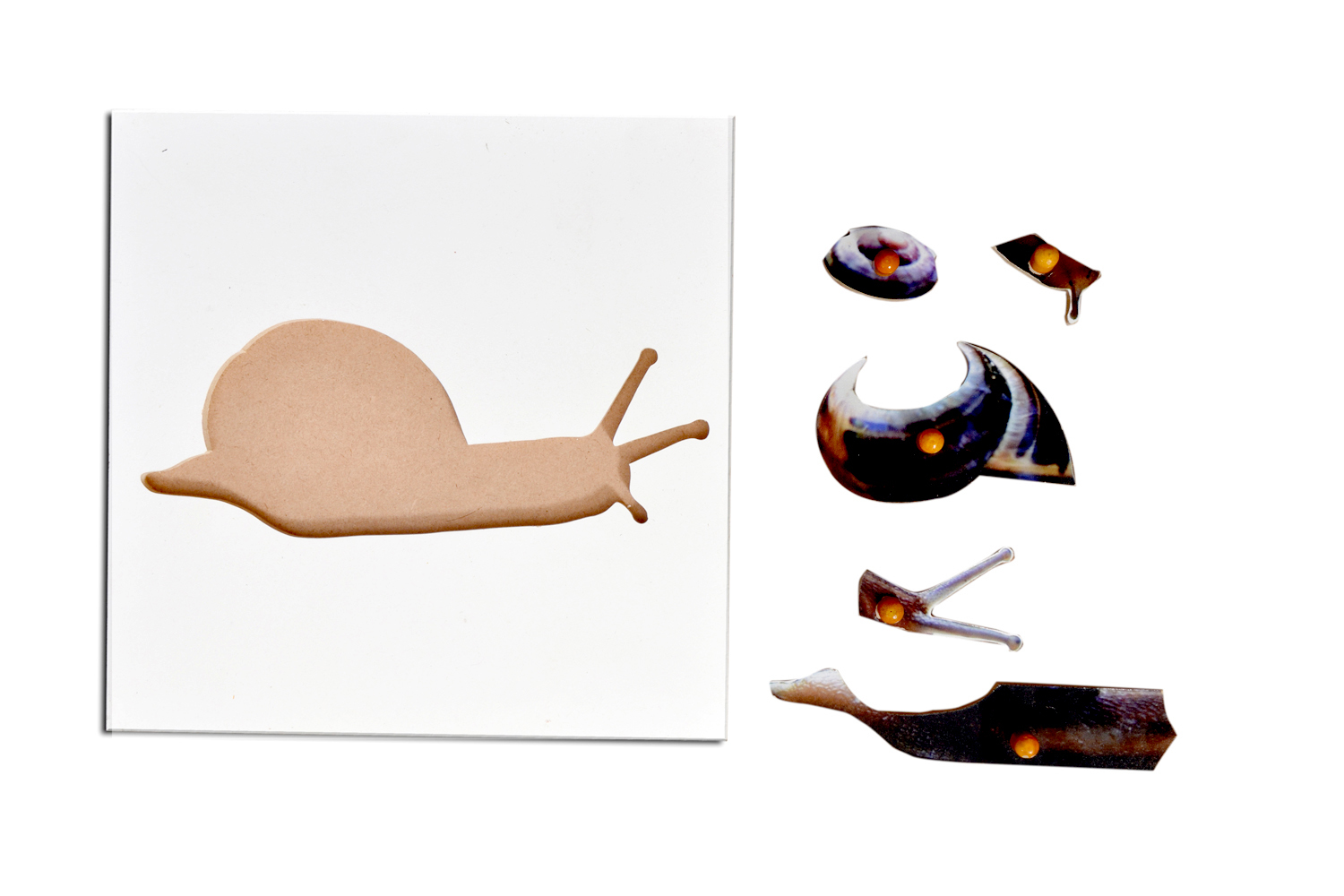 Kidken Montessori Snail Puzzle | Wooden Pegged Snail Puzzle for 2+ year Kids | Early Educational Toy Gift