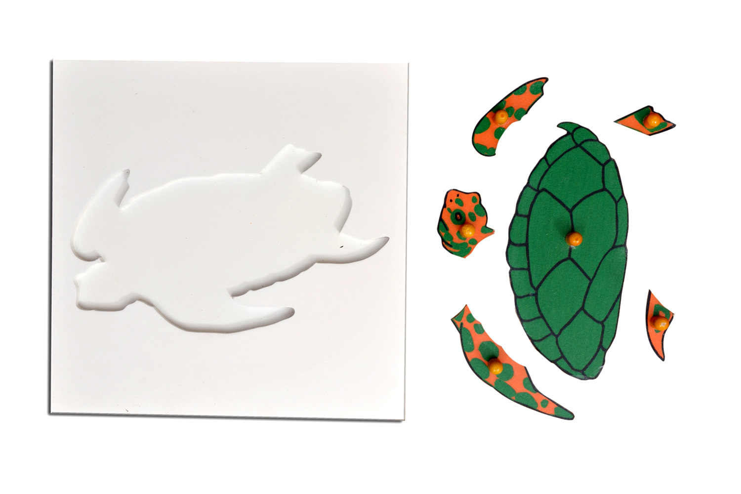 Kidken Montessori Tortoise Puzzle | Wooden Pegged Tortoise Puzzle for 2+ year Kids | Early Educational Toy Gift