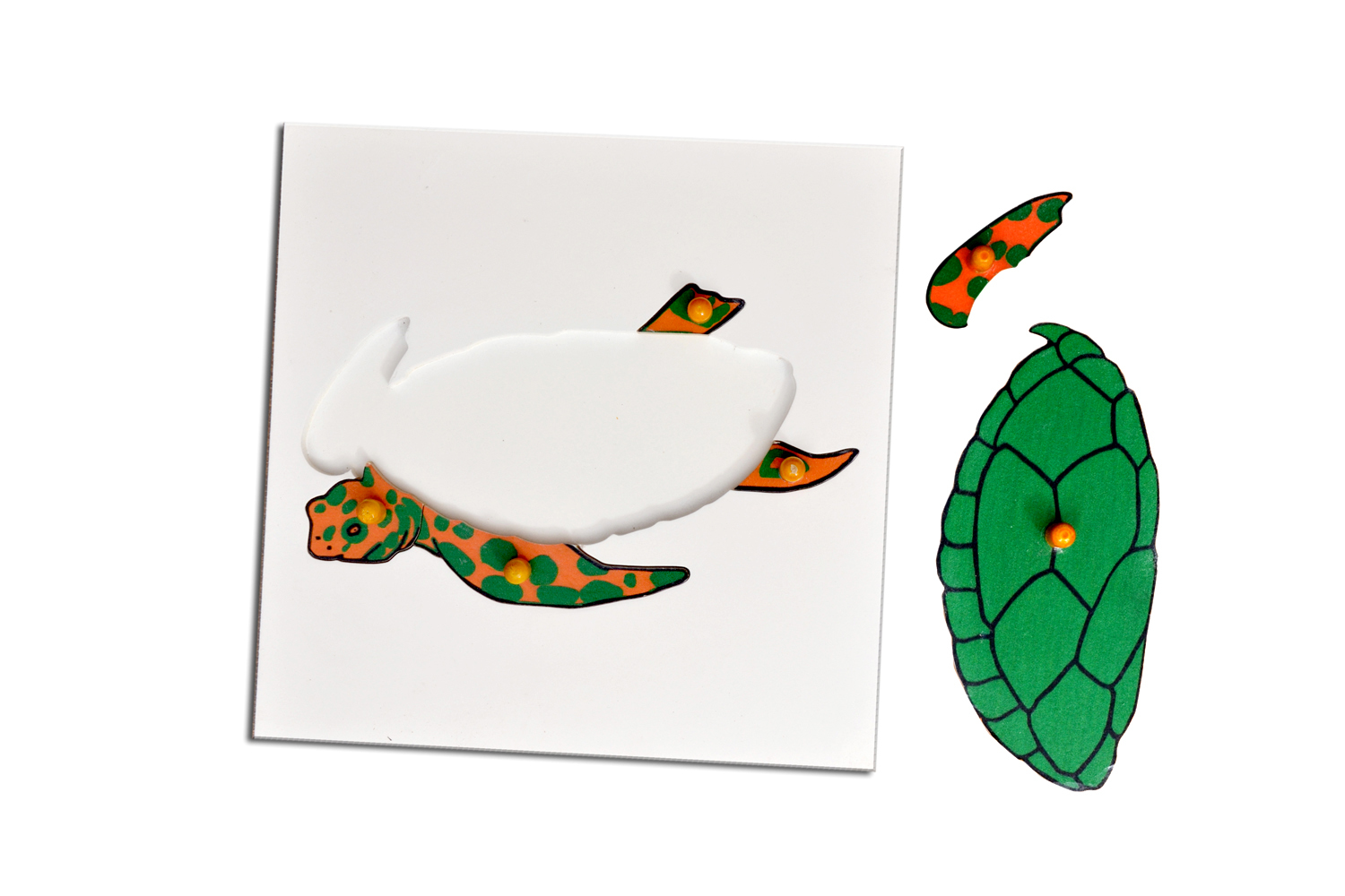 Kidken Montessori Tortoise Puzzle | Wooden Pegged Tortoise Puzzle for 2+ year Kids | Early Educational Toy Gift