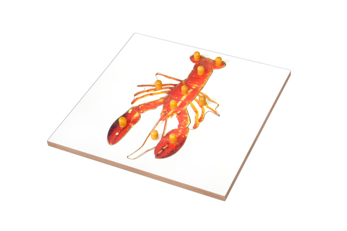 Kidken Montessori Lobster Puzzle | Wooden Pegged Lobster Puzzle for 2+ year Kids | Early Educational Toy Gift