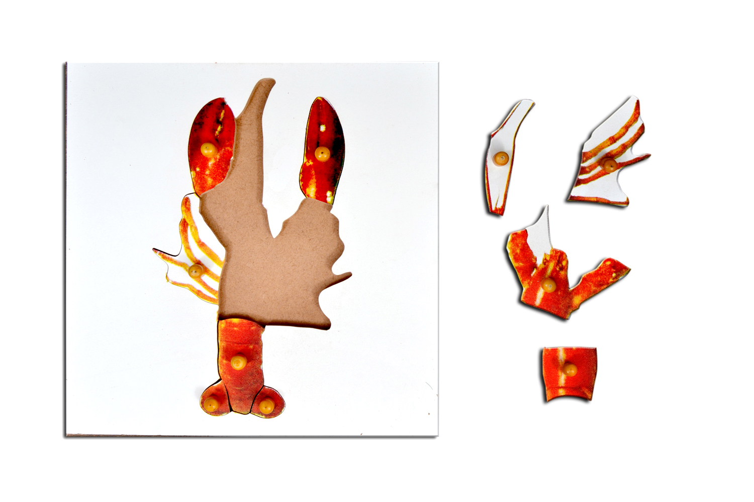 Kidken Montessori Lobster Puzzle | Wooden Pegged Lobster Puzzle for 2+ year Kids | Early Educational Toy Gift