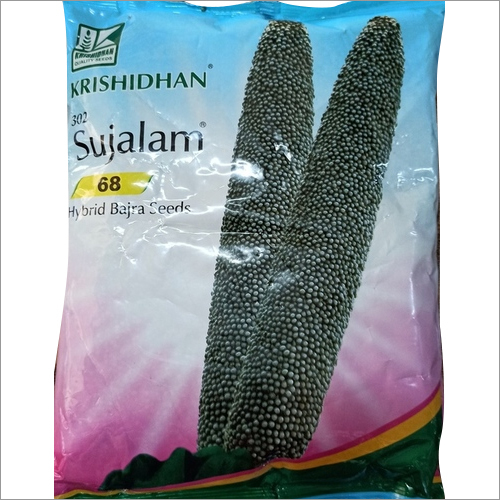 Sujalam 68 Hybrid Bajara Seeds Weight: 1.5 Kg  Kilograms (Kg)