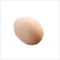 Kadaknath Hatching Eggs Egg Origin: Chicken