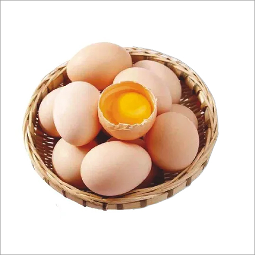 Fresh Kadaknath Egg