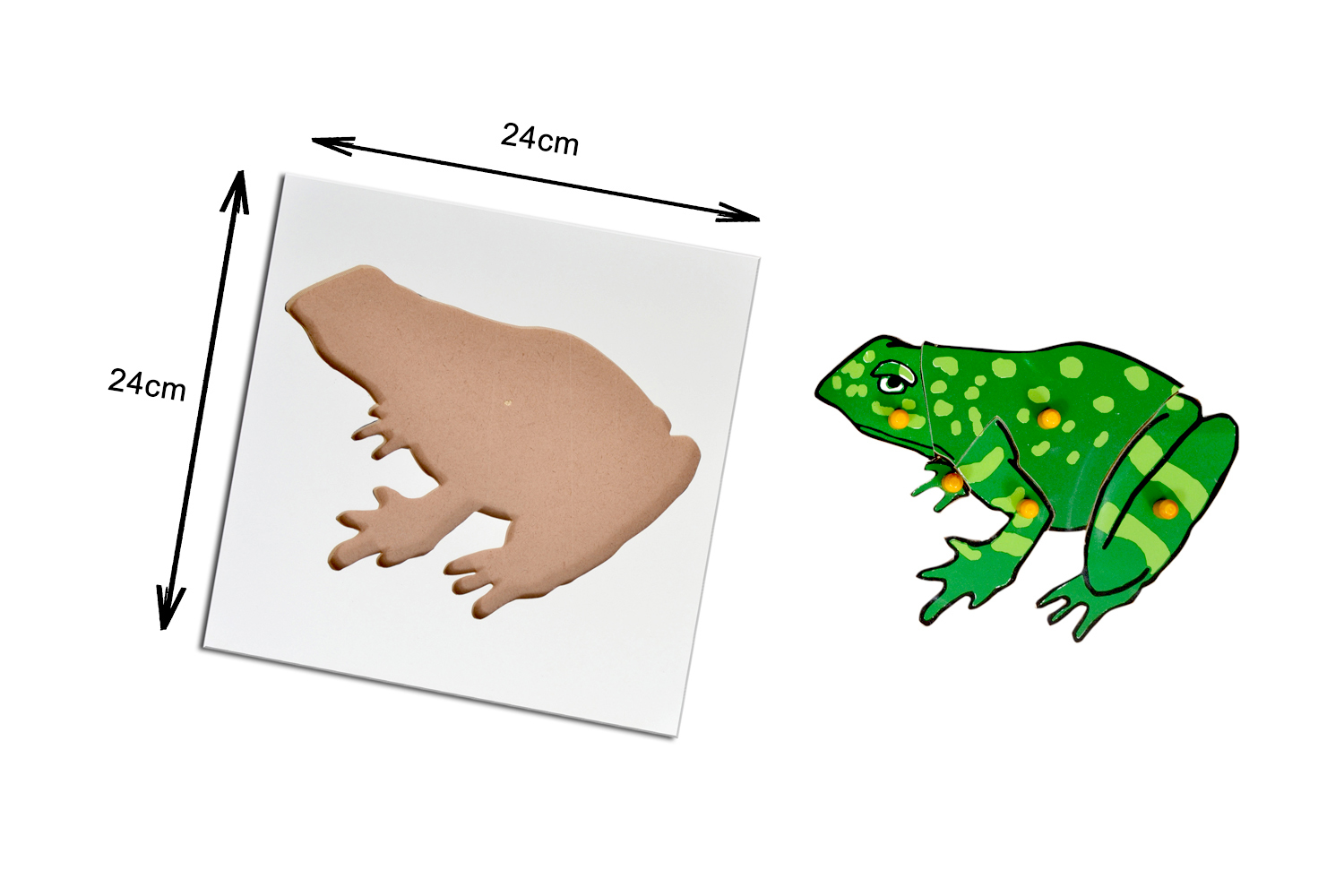 Kidken Frog Puzzle
