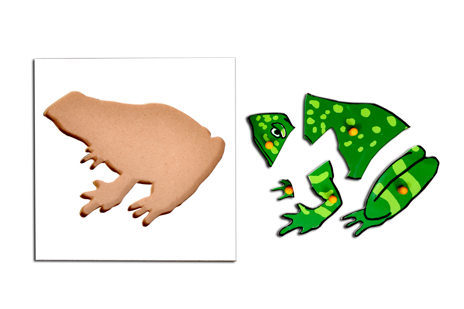 Kidken Frog Puzzle