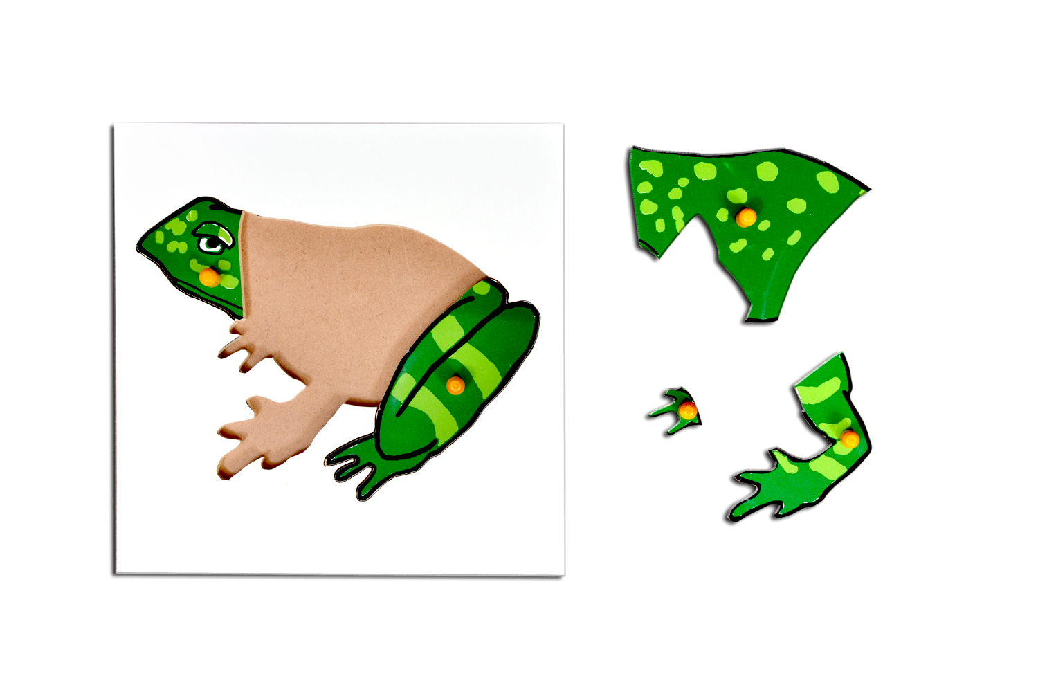 Kidken Frog Puzzle