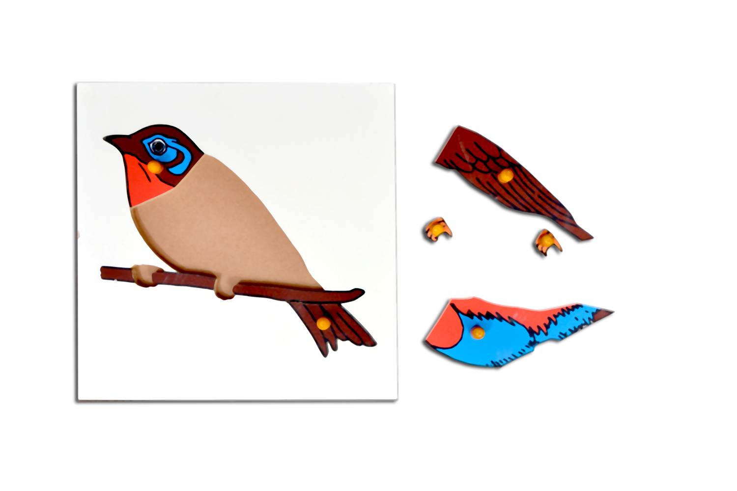 Kidken Montessori Bird Puzzle | Wooden Pegged Bird Puzzle for 2+ year Kids | Early Educational Toy Gift