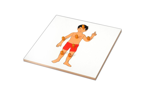 Kidken Montessori Boy Puzzle | Wooden Pegged Human Body Puzzle for 2+ year Kids | Early Educational Zoology Puzzle Toy Gift