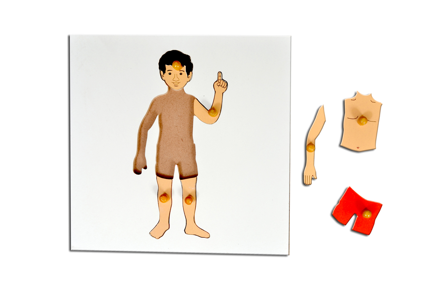Kidken Montessori Boy Puzzle | Wooden Pegged Human Body Puzzle for 2+ year Kids | Early Educational Zoology Puzzle Toy Gift