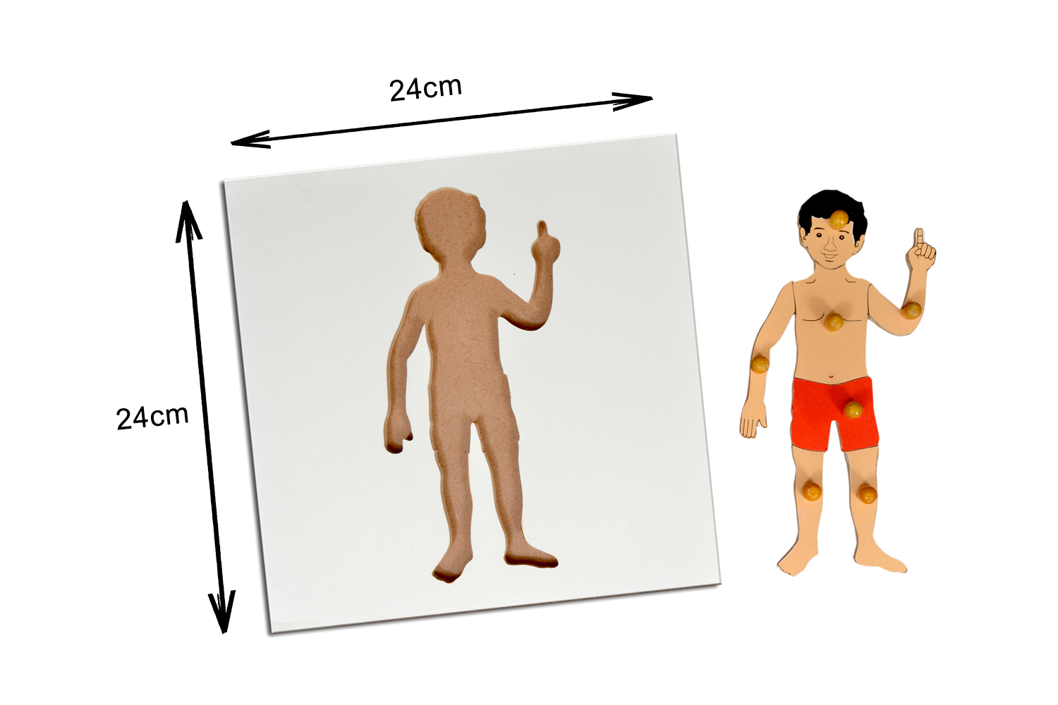 Kidken Montessori Boy Puzzle | Wooden Pegged Human Body Puzzle for 2+ year Kids | Early Educational Zoology Puzzle Toy Gift