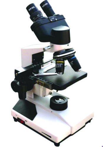 Compound Light Microscope