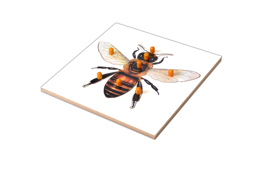 Kidken Montessori Bee Puzzle | Wooden Pegged Honey Been Puzzle for 2+ year Kids | Early Educational Toy Gift