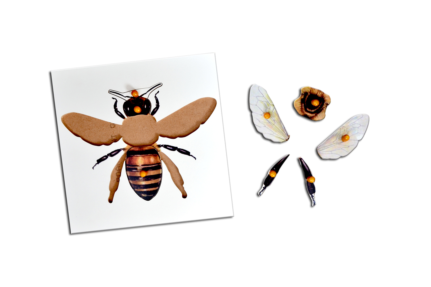 Kidken Montessori Bee Puzzle | Wooden Pegged Honey Been Puzzle for 2+ year Kids | Early Educational Toy Gift
