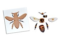 Kidken Montessori Bee Puzzle | Wooden Pegged Honey Been Puzzle for 2+ year Kids | Early Educational Toy Gift