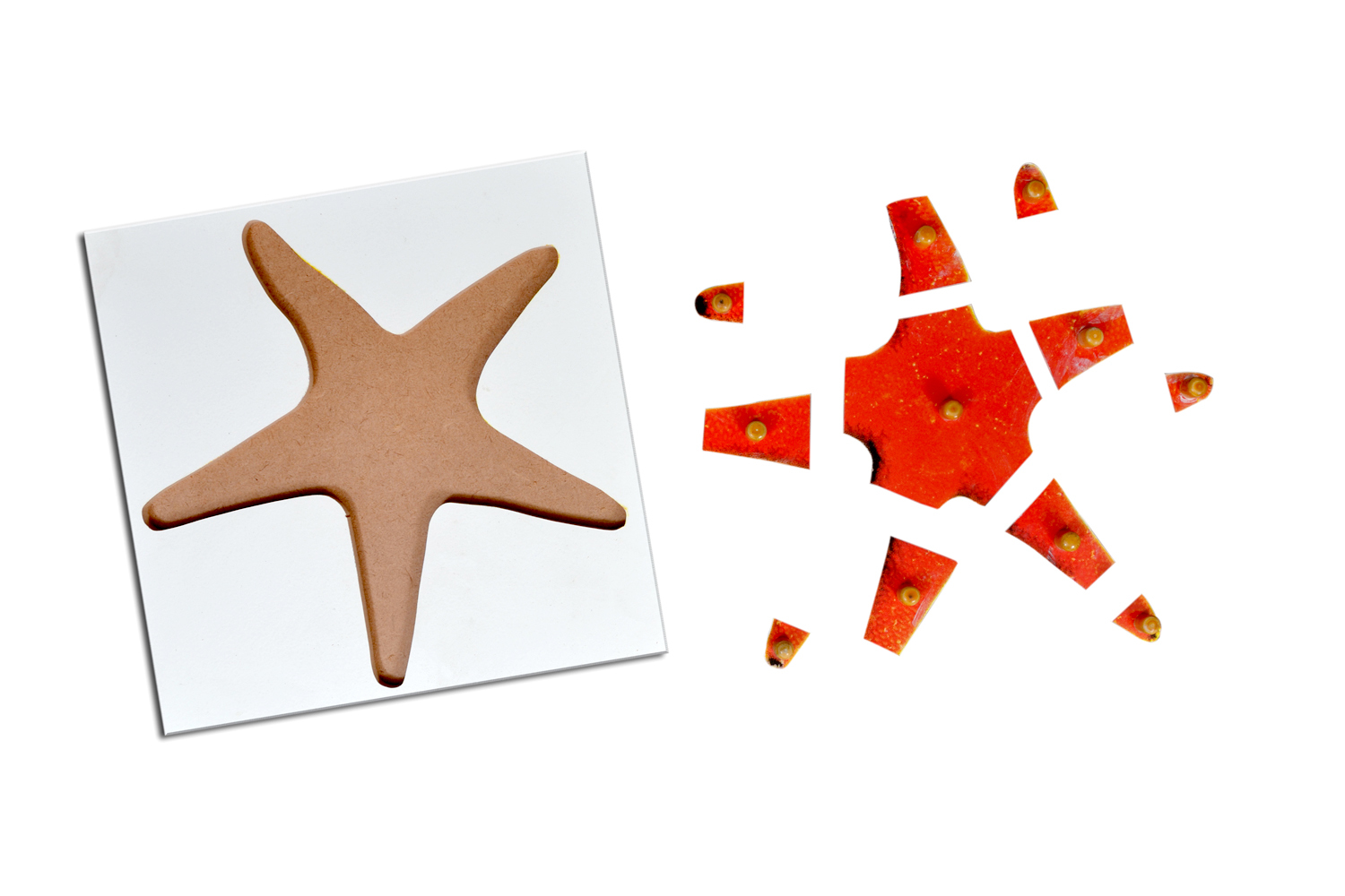 Kidken Montessori Starfish Puzzle | Wooden Pegged Starfish Puzzle for 2+ year Kids | Early Educational Zoology Puzzle Toy Gift