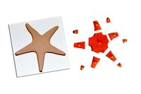 Kidken Montessori Starfish Puzzle | Wooden Pegged Starfish Puzzle for 2+ year Kids | Early Educational Zoology Puzzle Toy Gift