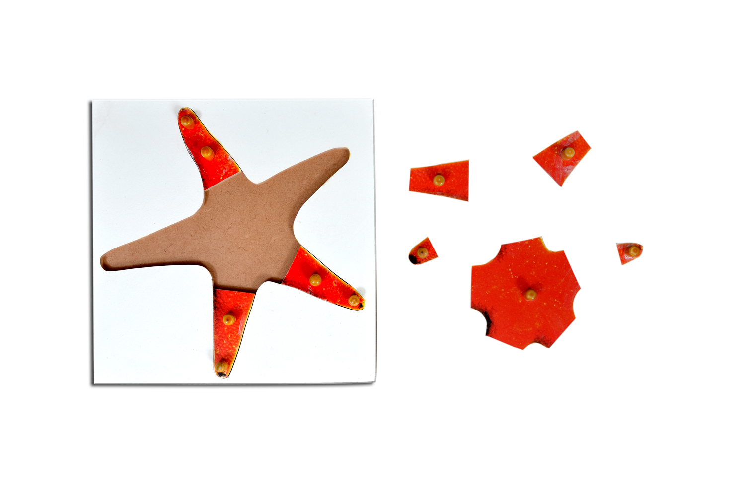 Kidken Montessori Starfish Puzzle | Wooden Pegged Starfish Puzzle for 2+ year Kids | Early Educational Zoology Puzzle Toy Gift