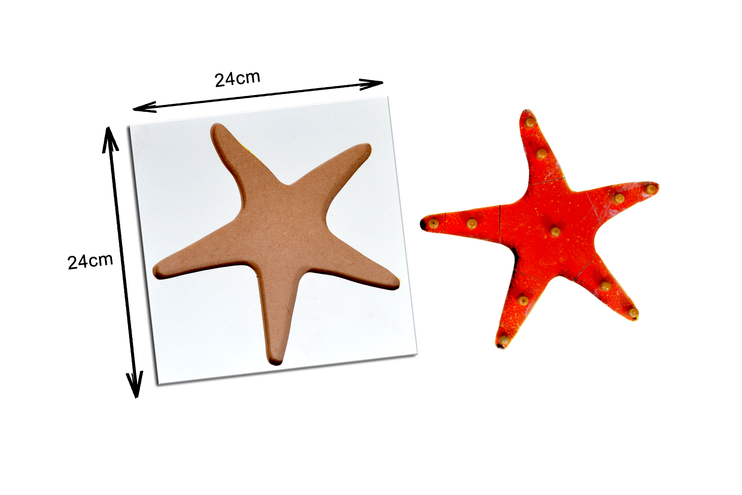 Kidken Montessori Starfish Puzzle | Wooden Pegged Starfish Puzzle for 2+ year Kids | Early Educational Zoology Puzzle Toy Gift