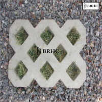 Grass Paver