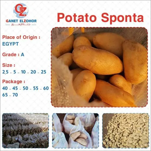 Sponta Potato Certifications: 1- 3Bl A A  
2- Phytosanitary Certificate
3-Origin Certificatea A 
4-Commercial Invoice
5-Packing List