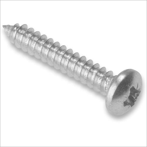 Polished SS Self Tapping Screw