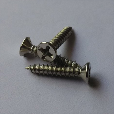 SS Self Tapping Screw