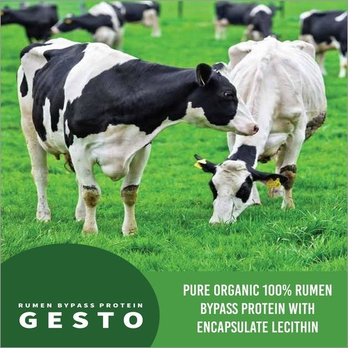 Rumen Bypass Protein