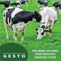 Rumen Bypass Protein