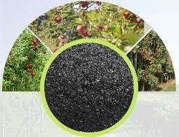 Humic Acid Flakes